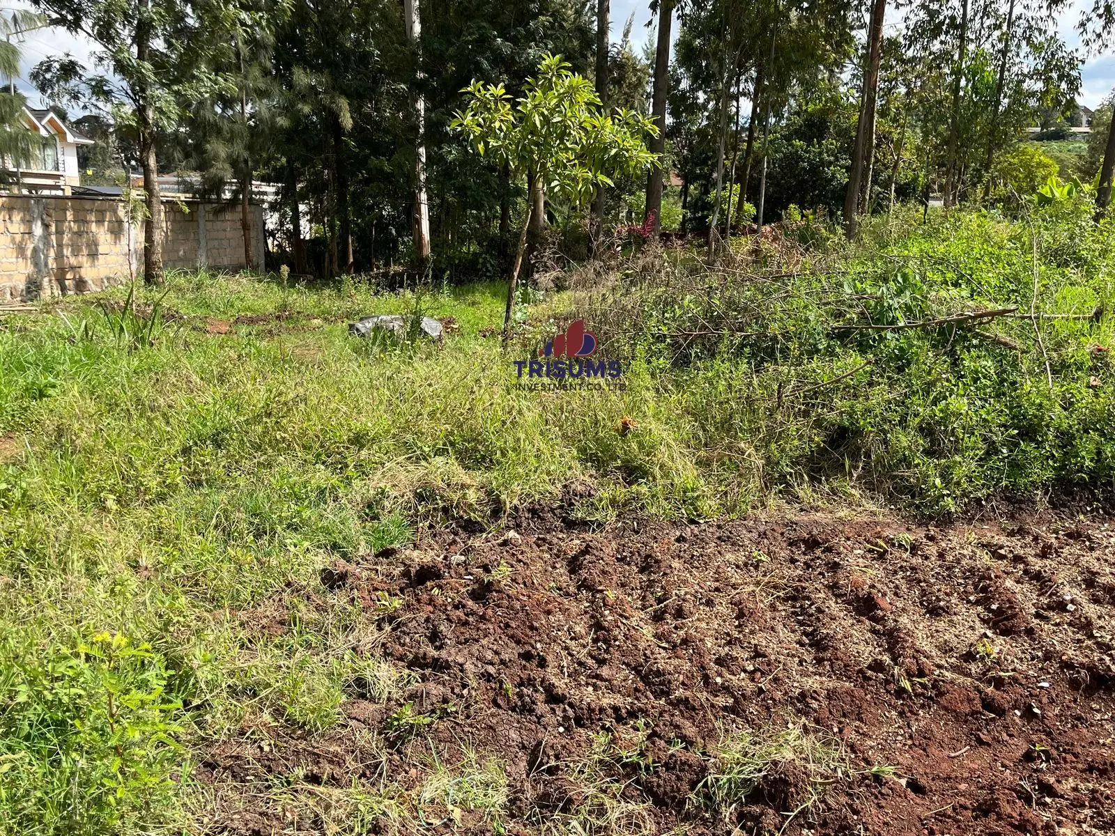 Prime 2.1 Acres for Sale